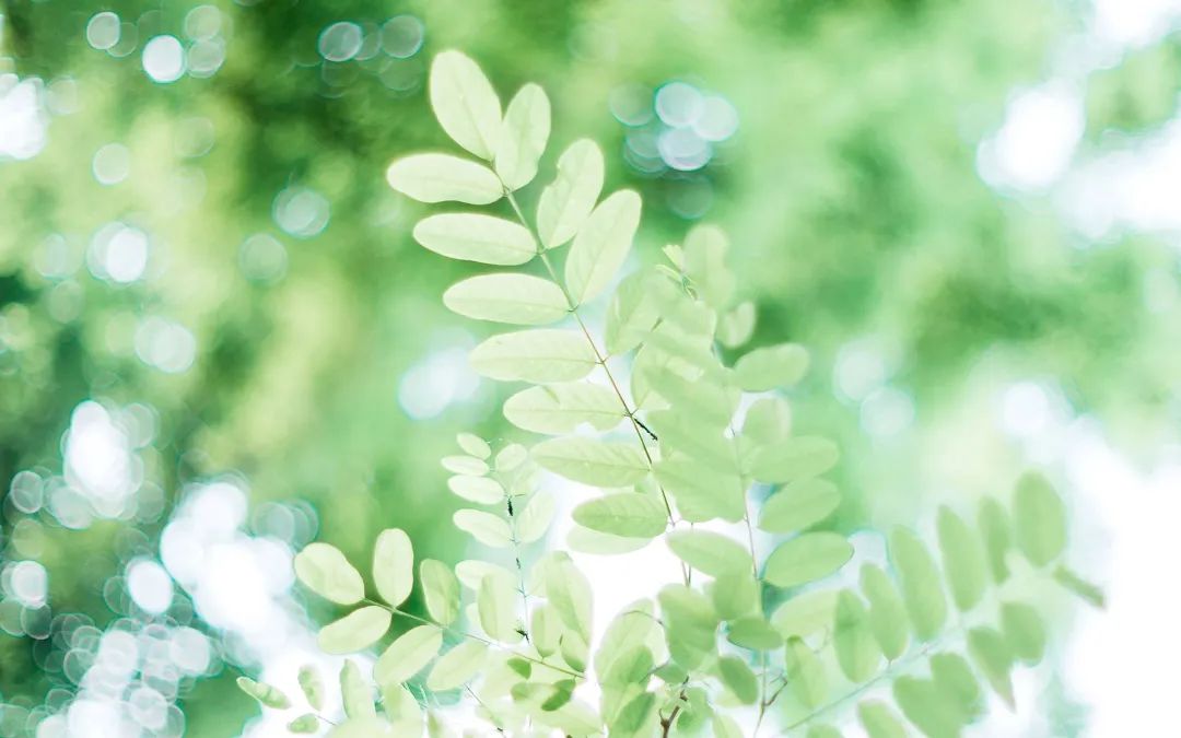 <a href="./rffc/202207/t20220725_487891.html">优秀的人，都善于更新自己</a>