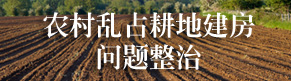 <a href="http://zrzyhghj.hbjsdb.com/ztzl/nclzgdjfwtzz/">农村乱占耕地建房问题整治</a>